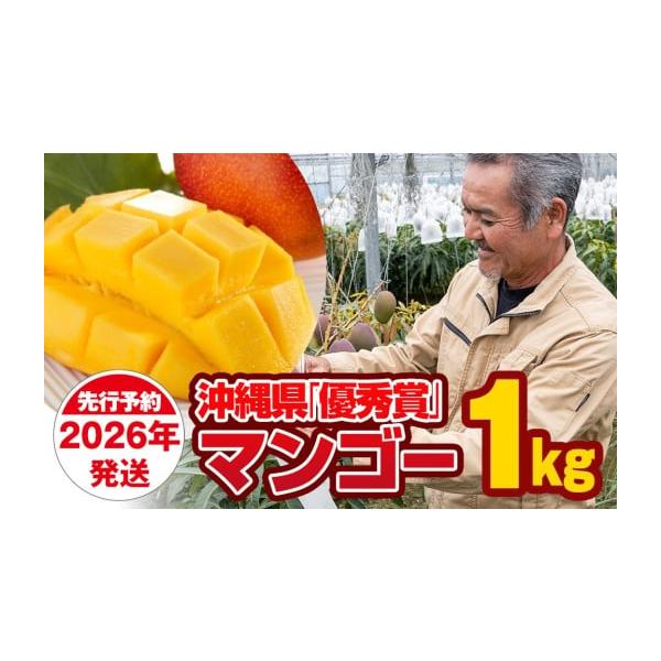 容量マンゴー　1kg（2〜4玉）※玉数指定はできません。消費期限青果物につき、到着後はお早めにお召し上がり下さい。発送期日2026年6月中旬〜7月下旬※お申し込み順の発送となりますので予めご了承くださいますようお願い致します。【寄付金受領証...