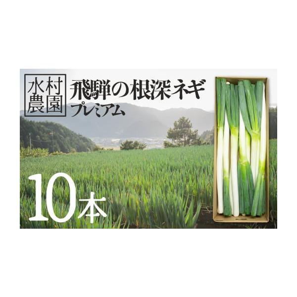 容量飛騨の根深ネギプレミアム　10本(約2.5kg)※収穫日に採れたものの中から、より良いネギを10本選んでお届けいたします。消費期限到着後7日間程度(生鮮品のため、なるべく早くお召し上がりください。)発送期日2026年9月下旬頃〜11月に...