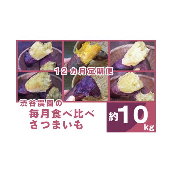 ふるさと納税 野菜類 サツマイモ 茨城県 行方市  12ヶ月定期便 渋谷農園の毎月食べ比べさつまいも 約10kg｜さつまいも サツマイモ さつま芋 お芋 食べ比べ 定…