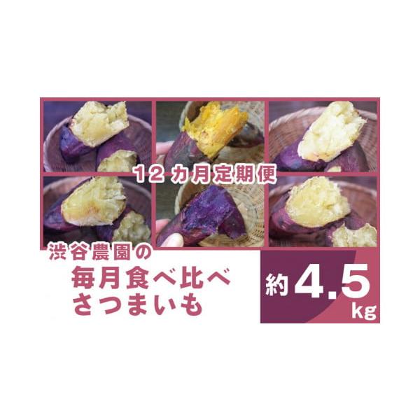 ふるさと納税 野菜類 サツマイモ 茨城県 行方市  12ヶ月定期便 渋谷農園の毎月食べ比べさつまいも 約4.5kg｜さつまいも サツマイモ さつま芋 お芋 食べ比べ 定…