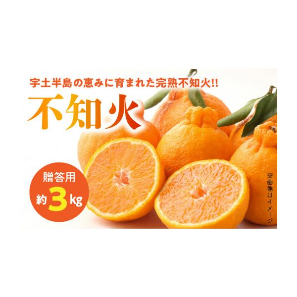 ふるさと納税 みかん・柑橘類 デコポン 熊本県 宇土市 先行予約 福島オレンジ農園 贈答用 減農薬で安心安全なおいしい甘く熟した 不知火 約3kg_U54-0011