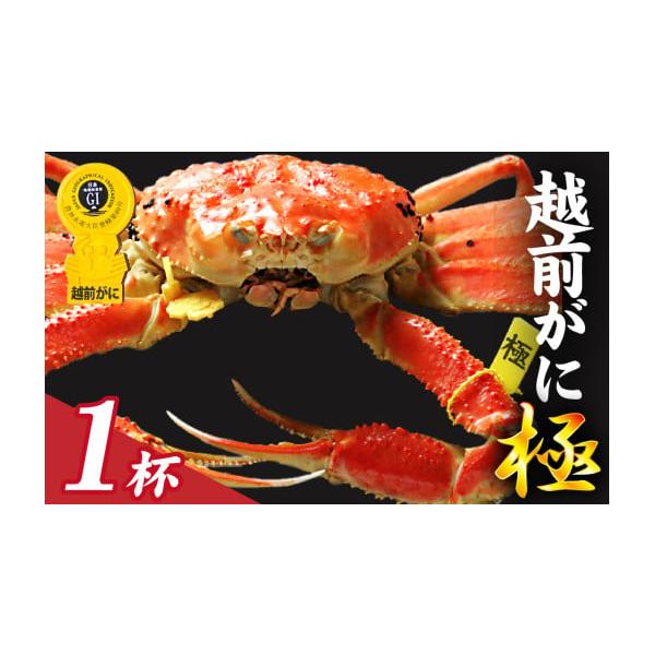 furusatochoice_4963282