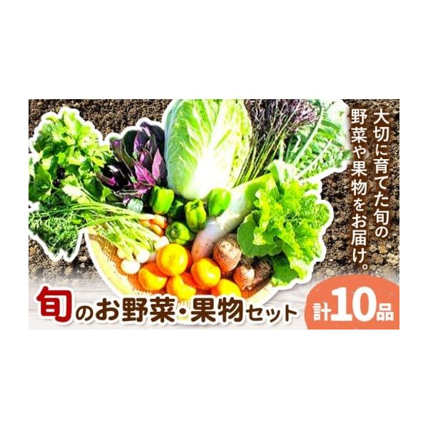 容量旬のお野菜・果物セット（全10品程度）消費期限発送日から7日前後発送期日90日以内に出荷予定(土日祝除く)配送冷蔵 時間指定 別送申込期日通年事業者福田果樹園申込条件何度も申し込み可