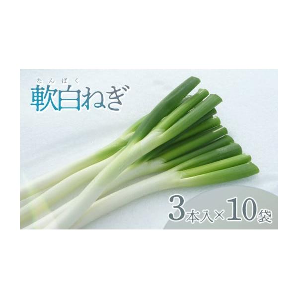 容量軟白ねぎ 1箱（3本入り×10袋）【提供事業者】有限会社 鶴岡協同ファーム【産地名】 山形県鶴岡市産消費期限収穫から約1週間※生鮮野菜ですので到着後早めにお召し上がりください。発送期日令和7年12月1日〜令和8年2月28日頃予定※天候や...