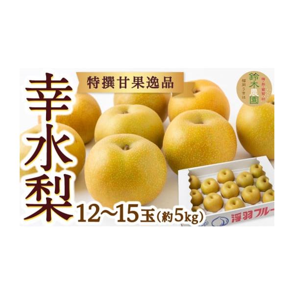 容量幸水梨 12玉から15玉（約5kg）山奥育ちの樹上完熟！抜群の甘さとたっぷり果汁の幸水梨をお届けします。消費期限：冷蔵保管で出荷日から7日消費期限到着後、冷蔵保管で出荷日から7日以内にお召し上がりください。発送期日2026年8月上旬より...