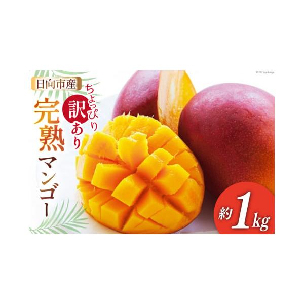 容量日向産完熟マンゴー　(訳あり約1kg)・パック入り2玉〜4玉のいずれか(計1kg以上)でのお届けとなります。※玉数、サイズはお選びいただけません。【お届け例】4L×2玉　又は　L×4玉などお届けは、専用段ボールに梱包して発送いたします。...