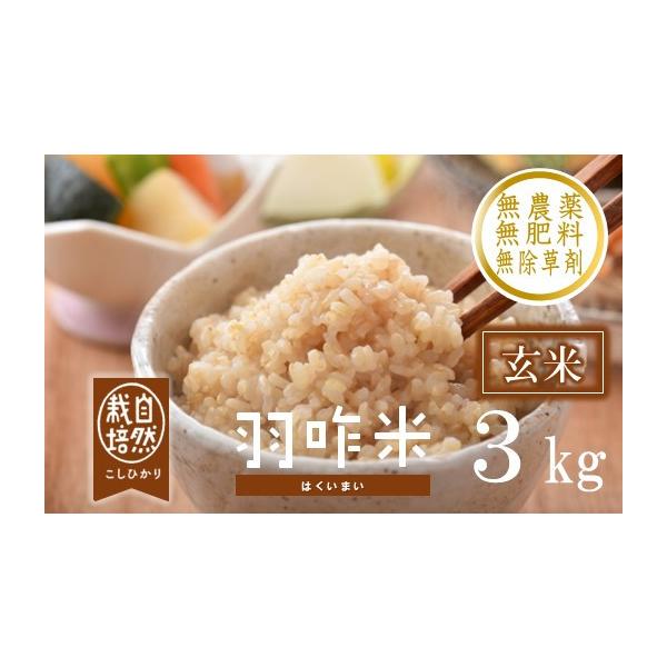 ふるさと納税 玄米 石川県 羽咋市 コシヒカリ 3kg 令和7年産 自然栽培