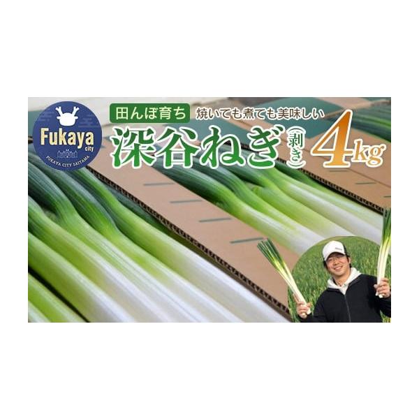 容量【数量限定】深谷ねぎ（剥き）　4kg消費期限生鮮品のためお早めにお召し上がり下さい。発送期日2025年11月中旬〜2026年3月末までに発送※生育状況により多少前後する場合がございます。配送常温 時間指定 別送申込期日2026年3月22...