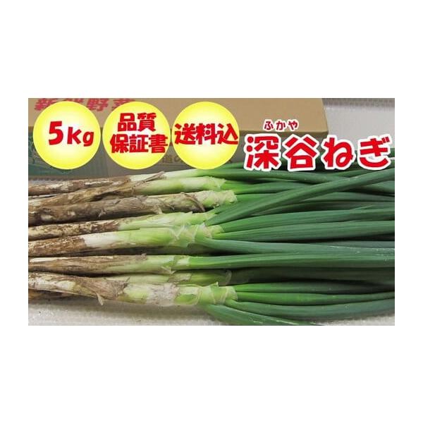 容量深谷ねぎ（土付き）　5kg消費期限生鮮品のためお早めにお召し上がり下さい。発送期日2025年12月〜2026年2月中旬配送常温 時間指定 別送申込期日2026年1月31日決済・入金確認分まで事業者ふかや物産観光　株式会社申込条件何度も申...