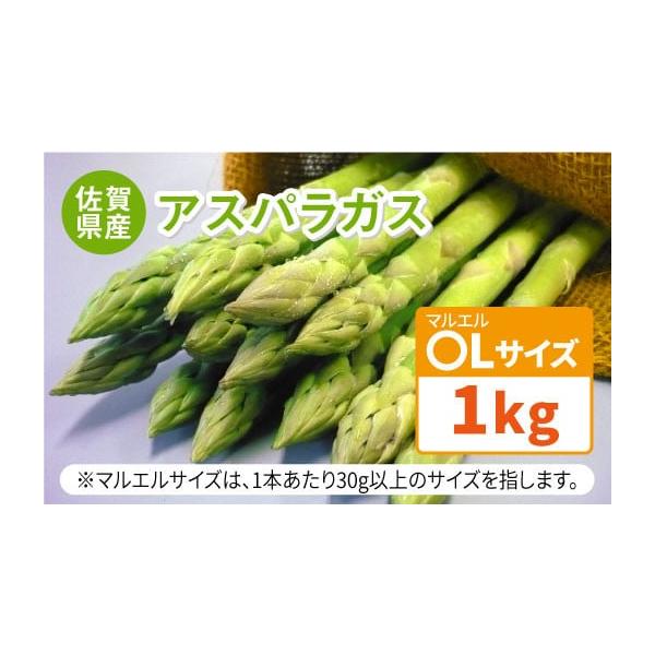 容量アスパラガス 〇L（マルエル）サイズ 1kg（25本〜33本程度）※マルエルサイズとは1本あたり30~50g未満のサイズを指します。サイズは太さではなく、重さが基準となります。消費期限目安：お届け後1週間程度※生鮮食品のためお早めにお召...