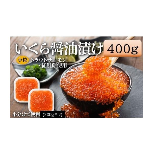 ふるさと納税 いくら 福岡県 新宮町 A1594.いくら醤油漬（サーモントラウト・紅鮭）400g（200g×2パック）
