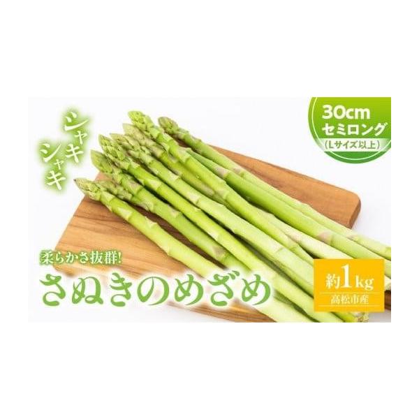 容量■内容量／原産地さぬきのめざめセミロング30cm(Lサイズ以上)　約1kg原産地:高松市消費期限■賞味期限7日発送期日3月上旬〜3月下旬※北海道、沖縄県、離島にはお届けできません。配送冷蔵 別送申込期日〜2026-3月上旬予定事業者（株...