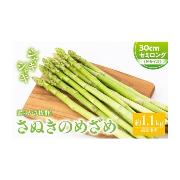 容量■内容量／原産地さぬきのめざめセミロング30cm(Mサイズ)　約1.1kg原産地:高松市消費期限■賞味期限7日発送期日3月上旬〜3月下旬※北海道、沖縄県、離島にはお届けできません。配送冷蔵 別送申込期日〜2026-3月上旬予定事業者（株...