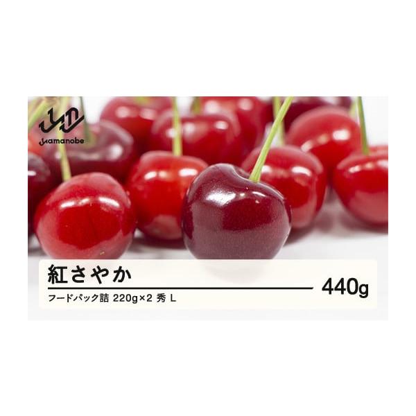 容量「紅さやか」 秀・L  440g（220g×2パック）消費期限発送日より3日程度※到着後はお早めにお召し上がりください。発送期日2026年6月上旬〜中旬頃に順次発送※発送時期は、例年の発送時期を記載しております。天候や収穫状況により変更...