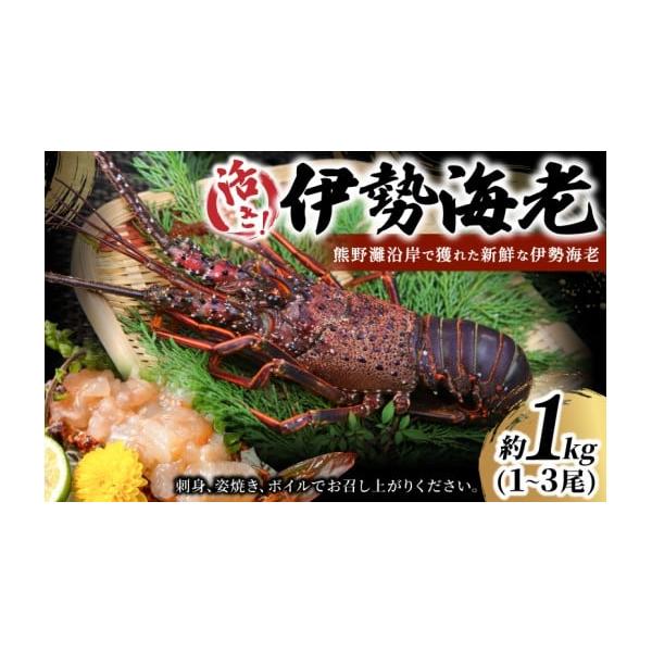 容量伊勢海老　約１キロ（化粧箱入り）※伊勢海老の大きさにより数の増減（1〜3尾）がございます。数や大きさの指定はできません。※水曜日、日曜日、2025／12／31〜2026／01／04のお届け指定はできません。消費期限お早めにお召し上がりく...