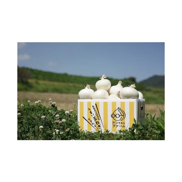 容量玉ねぎ5kg（13〜15玉前後）【サイズ】M〜２L混合【重量】箱の重さ込み（配送業者の重量規程による）消費期限気温の変化・高温・多湿を避けて風通しの良い日陰での保存も可能ですが、冷蔵での保存をお勧めします。湿気に弱い為新聞紙やキッチンペ...