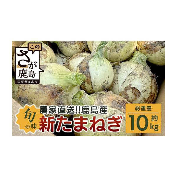 容量約10kg（サイズ混合）消費期限この時期のたまねぎは晩生のものに比べ日持ちがしません。到着後は新鮮なうちにお召し上がりください。発送期日2026年4月中旬より順次発送予定です配送常温 時間指定 別送申込期日2026年5月15日まで事業者...