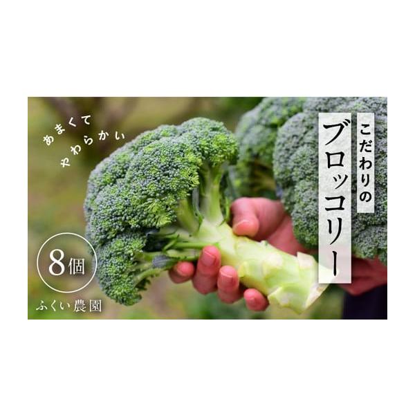 容量直径12cm〜13cmの玉で8個。 ダンボールの中にビニールを敷く。消費期限冷蔵で1週間〜10日発送期日2026年1月10日以降順次発送配送冷蔵 時間指定 別送事業者ふくい農園申込条件何度も申し込み可