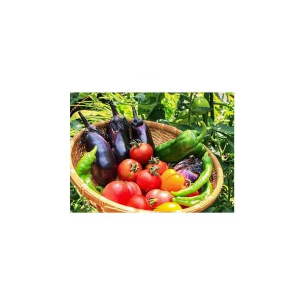 容量■内容量／原産地旬の採れたて野菜セット(7〜8種・約2〜3kg)原産地:岡山県美作市消費期限■消費期限発送日+5日※到着後、すぐにお礼品の状態をご確認のうえ、お早めにお召し上がりください。発送期日お申込み後1週間程度で発送予定　※離島に...
