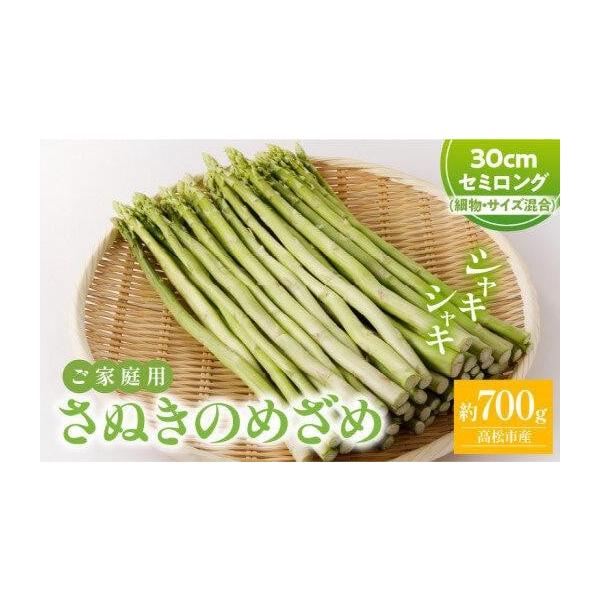 容量■内容量／原産地さぬきのめざめセミロング30cm　約700g(サイズ混合)原産地:高松市消費期限■賞味期限7日発送期日3月上旬〜6月下旬※北海道、沖縄県、離島にはお届けできません。配送冷蔵 別送申込期日〜2026-5月下旬予定事業者（株...