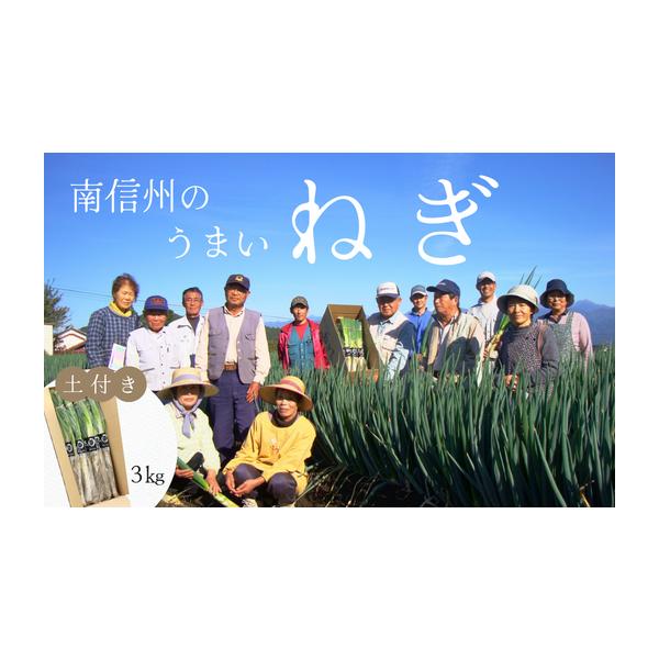 容量南信州産 土付きねぎ 約3kg（約600g×5袋）消費期限発送日より3日以内を目安に、お早めにお召し上がりください。発送期日2025年12月中旬〜2026年2月上旬頃（予定）※気候により配送時期に変動がある可能性がございます。※到着日の...
