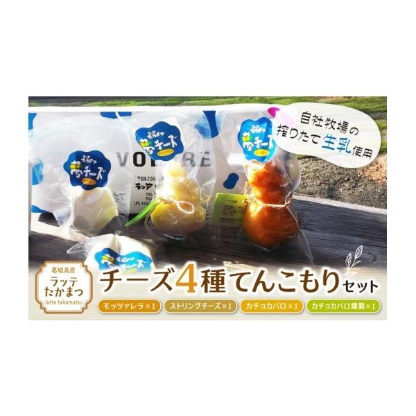 ふるさと納税 加工品等 チーズ 奈良県 葛城市 ラッテたかまつ 4種