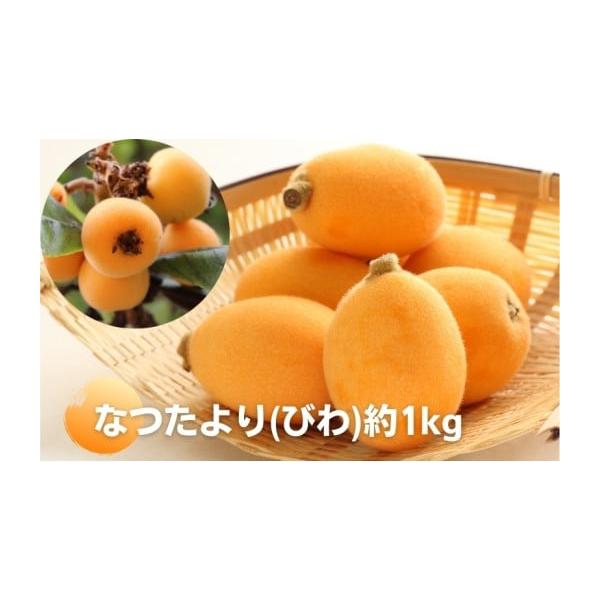 容量約1kg（約250g×4パック）消費期限冷蔵5日発送期日2026年5月下旬〜6月下旬配送冷蔵 別送申込期日2026年6月8日まで事業者株式会社五色青果申込条件何度も申し込み可