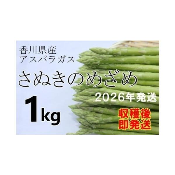 容量約１kg　Lから２Lサイズの混載　消費期限賞味期限：５日前後（生もののため あくまでも目安です）発送期日【2026年3月頃から順次発送予定】お申込みいただいた方から順番にお届けさせていただきます。農産品のため、天候や生育状況によって、発...