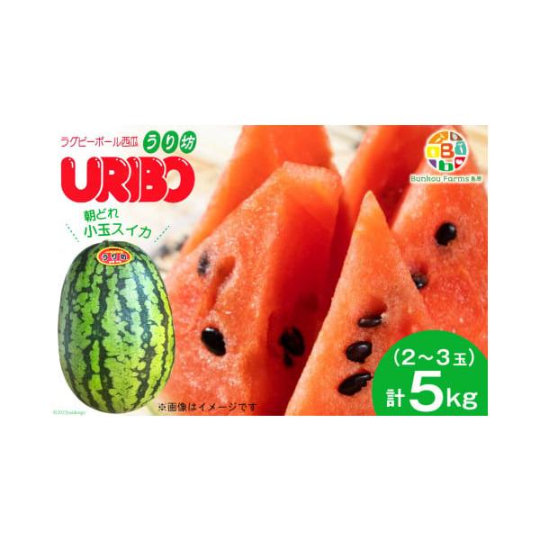 容量5kg（1.7kg以上×2〜3玉）消費期限常温で10日発送期日2026年5月上旬〜6月中旬において順次出荷※申込期日：2026年6月6日（決済確認）※寄附申込が集中した場合は、お届けまでお待たせすることがございます。配送常温 別送事業者...