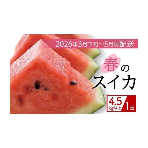 容量今帰仁産　春のスイカ　4.5kg以上×1玉消費期限商品到着後、生ものですので冷蔵保存しお早めにお召し上がり下さい。発送期日【2026年3月下旬〜5月頃発送】（天候により配送時期が変更する場合があります）●日付・曜日の指定や不在日の対応は...