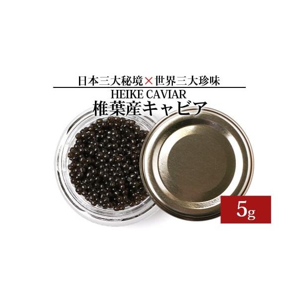 ふるさと納税 魚貝類 キャビア 宮崎県 椎葉村  訳あり HEIKE CAVIAR 5ｇ 宮崎県 椎葉村 世界三大珍味×日本三大秘境 ［宮崎 椎葉 国産 チョウザメ キャビア 5g…