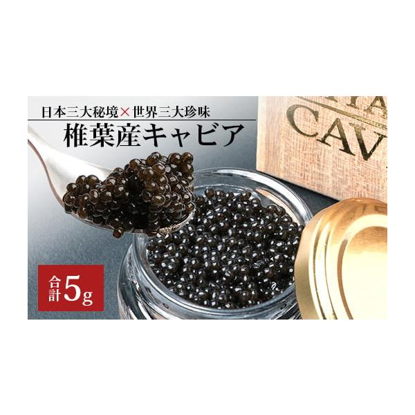 ふるさと納税 魚貝類 キャビア 宮崎県 椎葉村  桐箱入り HEIKE CAVIAR 5ｇ 世界三大珍味×日本三大秘境 ［宮崎 椎葉 国産 ちょうざめ チョウザメ きゃびあ キ…