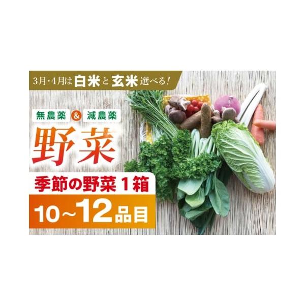 容量・5月〜2月：季節の野菜 1箱(10〜12品目)※野菜の品種は選べません。・3月、4月：こしひかり 5kg(白米or玄米)※玄米をご希望の際は備考欄に記載ください。記載がない場合は白米にてお送りいたします。消費期限生ものなのでお早めにお...