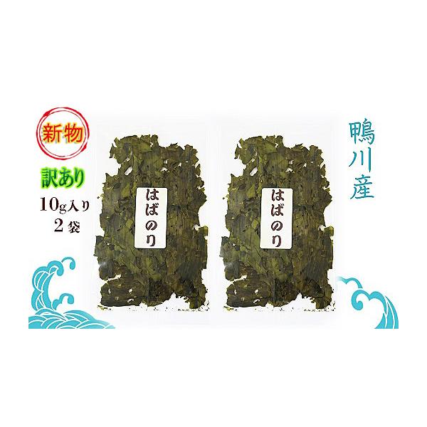 ふるさと納税 乾物 のり 千葉県 鴨川市  久根崎善次郎商店 《訳あり》割れはばのり20g 0012-0076