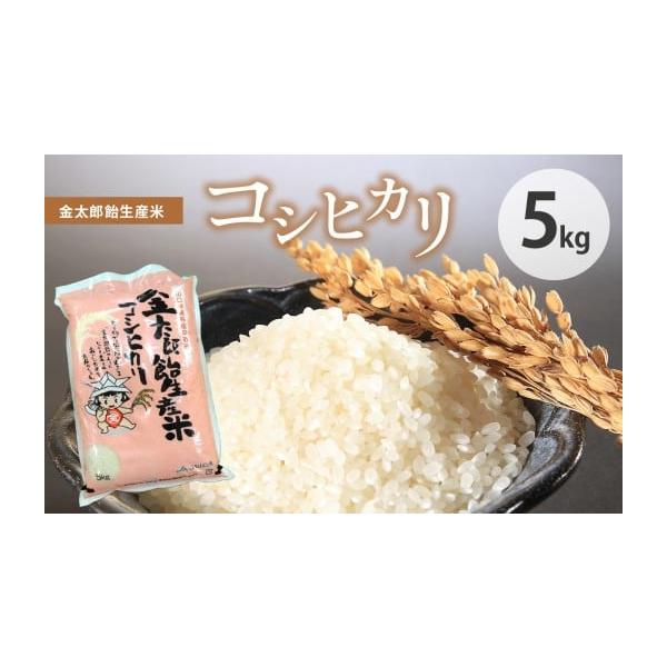 ふるさと納税 米 コシヒカリ 山口県 美祢市 令和7年産 金太郎飴生産米 