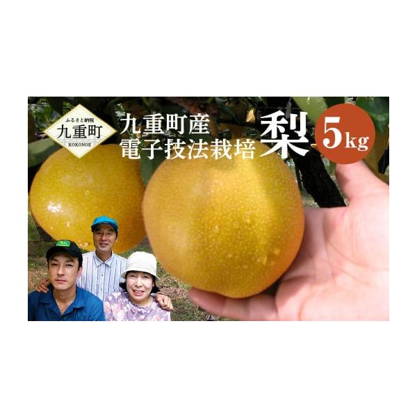 容量九重町産 電子技法栽培 梨 5kg消費期限7日発送期日2026年9月上旬〜12月上旬発送予定配送冷蔵 時間指定 別送申込期日2026年11月15日まで寄附申込受付事業者玉井農園申込条件何度も申し込み可