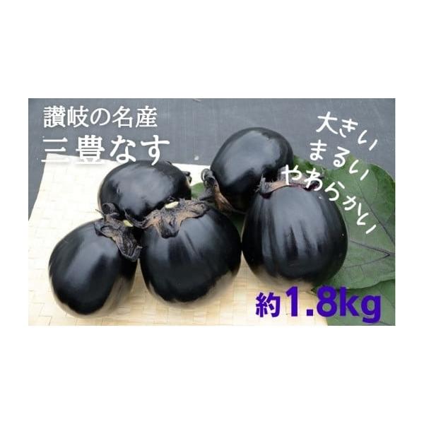 容量約1.8kg（4〜7個）消費期限出荷日より常温5日発送期日2026年7月下旬〜10月上旬配送常温 別送申込期日2026年9月15日まで事業者株式会社五色青果申込条件何度も申し込み可