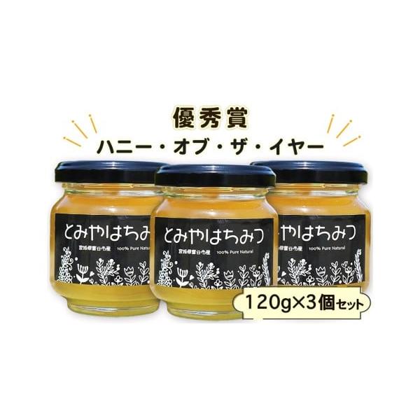 ふるさと納税 加工品等 はちみつ 宮城県 富谷市 2025年採蜜 とみや