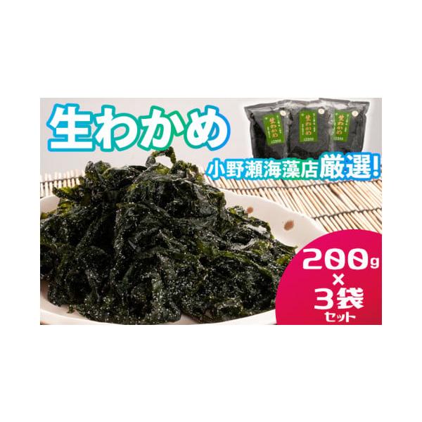 容量生わかめ200g×３袋セット消費期限※各商品パッケージに賞味期限を記載しております。発送期日入金確認後、7〜10日程度で発送いたします。配送常温 別送申込期日通年事業者有限会社　小野瀬海藻申込条件何度も申し込み可