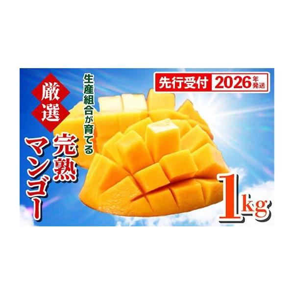 容量マンゴー約1kg（2玉〜3玉）※玉数の指定はできません。消費期限青果物のため、早めにお召し上がり下さい。発送期日2026年6月中旬〜7月末頃を予定配送冷蔵 別送申込期日2026年7月15日頃までを予定事業者熱帯果樹生産組合申込条件何度も...