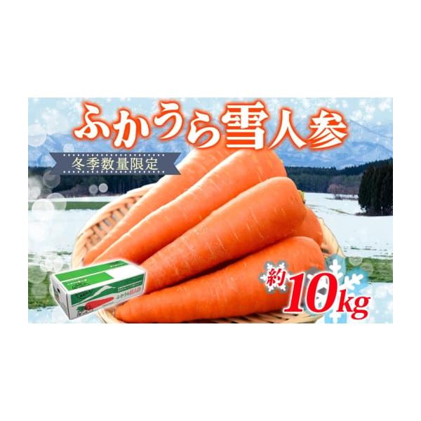 容量ふかうら雪人参1箱（10kg）発送期日2026年1月中旬〜2026年3月下旬配送常温 別送申込期日2026年3月10日まで事業者一般財団法人 深浦町食産業振興公社申込条件何度も申し込み可