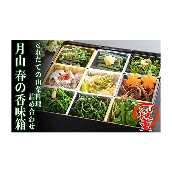 容量採れたての山菜9種類（お浸し・和え物・煮物）消費期限4日間発送期日2026年4月下旬〜5月下旬頃に順次発送配送冷蔵 時間指定 別送申込期日2026年5月10日まで事業者清流庭園 山菜料理 玉貴申込条件何度も申し込み可