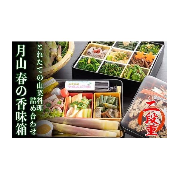 容量一段重：採れたての山菜9種類（お浸し・和え物・煮物）二段重：月山筍蒸焼き、山ぶどう液、山菜料理など消費期限4日間発送期日2026年4月下旬〜5月下旬頃に順次発送配送冷蔵 時間指定 別送申込期日2026年5月10日まで事業者清流庭園 山菜...