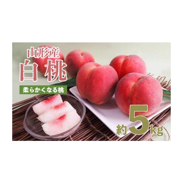 容量【令和8年産】山形産白桃 小玉サイズ(柔らかくなる桃)秀品約5kg(18〜22玉)発送期日2026年08月08日頃〜2026年09月08日頃※状況により配送時期が前後する場合がございます。(着日指定不可)配送冷蔵 時間指定 別送申込期日...