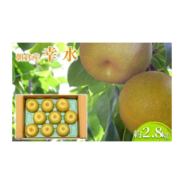 容量約2.8kg（9〜10玉）発送期日2026年7月中旬〜8月上旬配送冷蔵 別送申込期日2026年7月15日まで事業者筑前あさくら農協申込条件何度も申し込み可