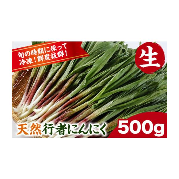容量■内容量／原産地行者にんにく500g原産地:北海道浦幌町ならびに近隣消費期限■賞味期限なるべく早くお召し上がりください。発送期日4月下旬頃から順次発送。配送冷蔵 時間指定 別送申込期日通年事業者株式会社ユーエム申込条件何度も申し込み可