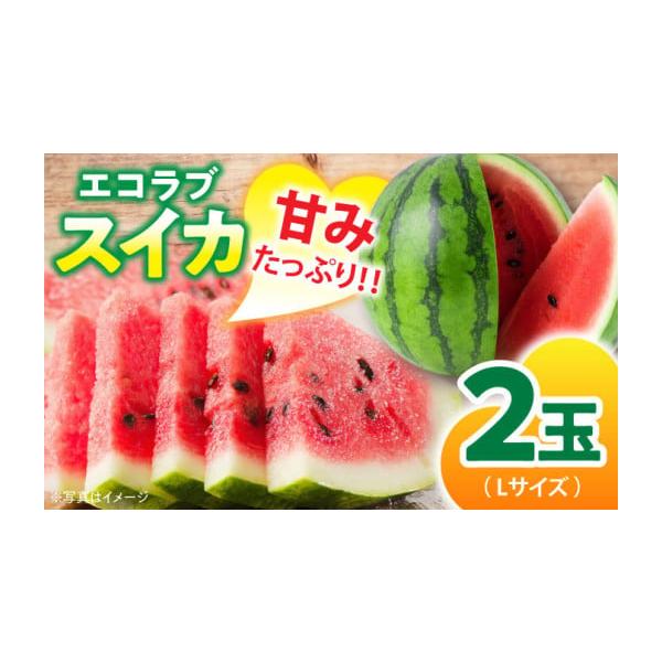 容量エコラブ西瓜（Lサイズ）　2玉【原料原産地】愛媛県大洲市消費期限【賞味期限】到着後はお早めにお召し上がりください発送期日6月上旬より7月末までの間に順次発送配送常温 時間指定 別送申込期日7月中旬まで事業者沢井青果有限会社申込条件何度も...