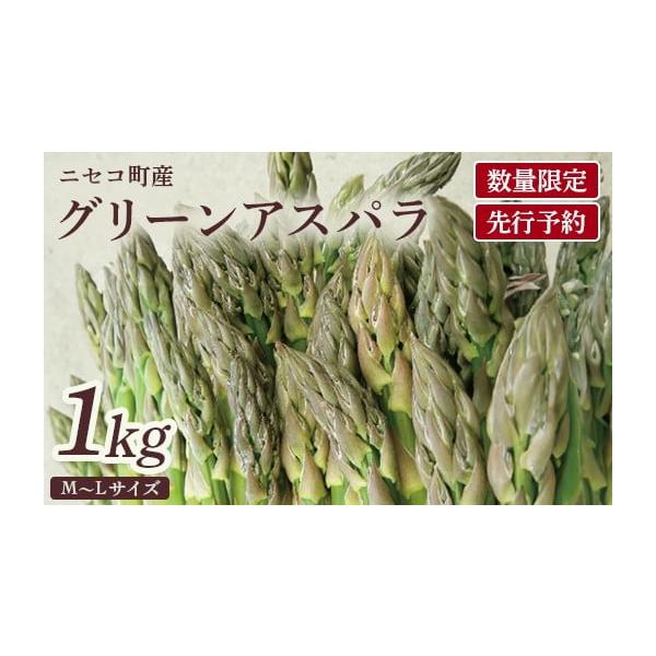 容量・グリーンアスパラ（Ｍ500g・Ｌ500g）1kg消費期限なるべく早めにお召し上がり下さい。発送期日2026年5月中旬から6月中旬予定配送冷蔵 時間指定 別送申込期日2026年5月31日まで受付致します。事業者ニセコビュープラザ直売会協...