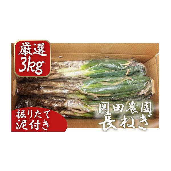 容量長ねぎ(泥付き)：3kg消費期限保存状況により10日〜2ヶ月（賞味期限）※土に埋めた場合は最大2ヶ月程度保存可発送期日2025年11月〜2026年3月下旬配送常温 時間指定 別送申込期日2025年12月31日決済・入金確認分まで※お申込...