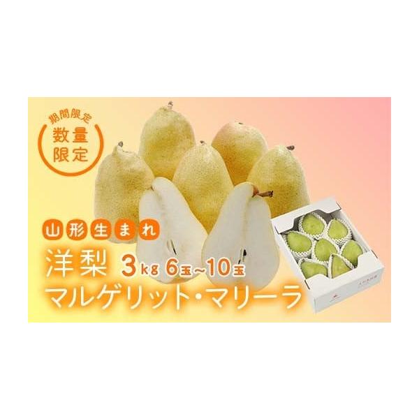 容量3kg（6〜10玉）発送期日2026年9月中旬頃〜10月上旬頃配送常温 時間指定 別送申込期日2026年8月30日まで事業者株式会社やまがたさくらんぼファーム申込条件何度も申し込み可、オンライン決済限定